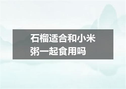 石榴适合和小米粥一起食用吗