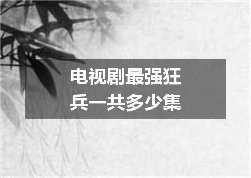 电视剧最强狂兵一共多少集