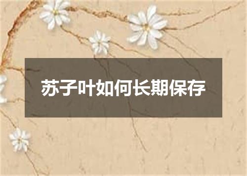 苏子叶如何长期保存