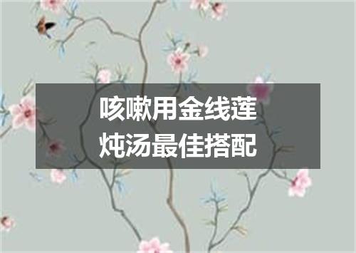咳嗽用金线莲炖汤最佳搭配
