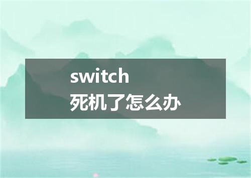 switch死机了怎么办