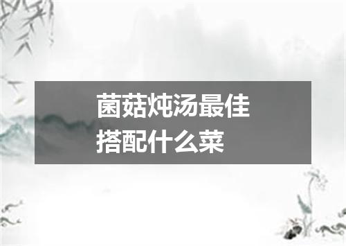 菌菇炖汤最佳搭配什么菜