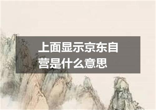 上面显示京东自营是什么意思