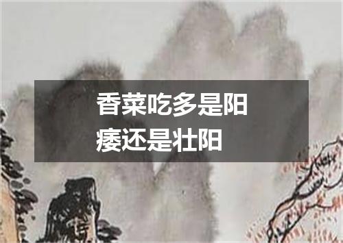 香菜吃多是阳痿还是壮阳