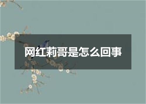 网红莉哥是怎么回事