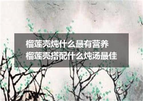 榴莲壳炖什么最有营养 榴莲壳搭配什么炖汤最佳