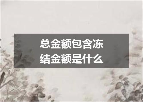 总金额包含冻结金额是什么