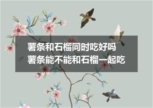 薯条和石榴同时吃好吗 薯条能不能和石榴一起吃