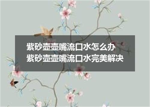 紫砂壶壶嘴流口水怎么办 紫砂壶壶嘴流口水完美解决