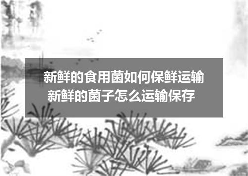 新鲜的食用菌如何保鲜运输 新鲜的菌子怎么运输保存