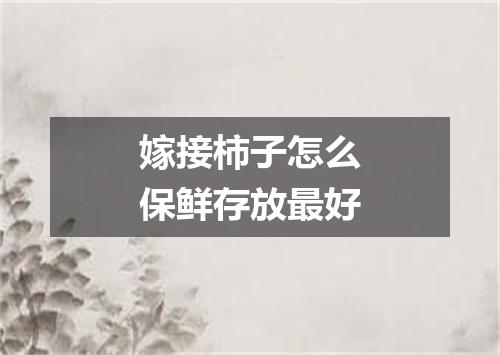 嫁接柿子怎么保鲜存放最好