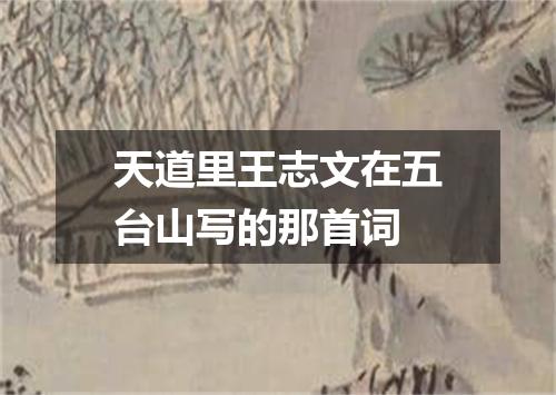 天道里王志文在五台山写的那首词