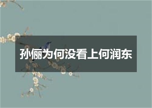 孙俪为何没看上何润东