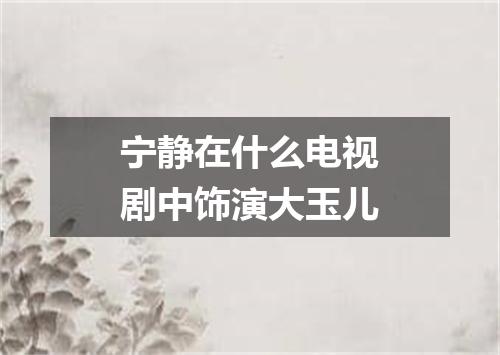 宁静在什么电视剧中饰演大玉儿