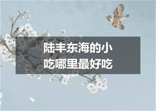 陆丰东海的小吃哪里最好吃