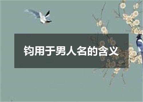 钧用于男人名的含义