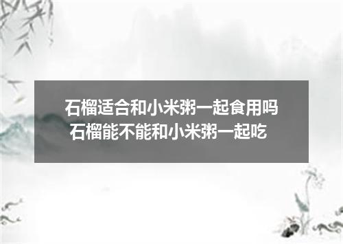 石榴适合和小米粥一起食用吗 石榴能不能和小米粥一起吃