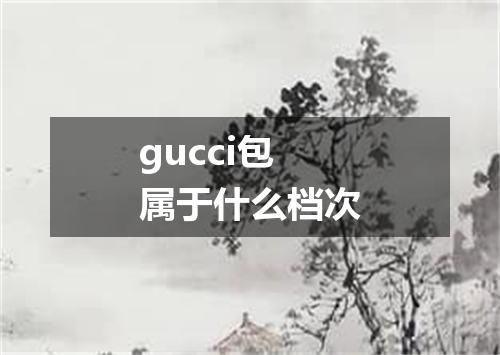 gucci包属于什么档次