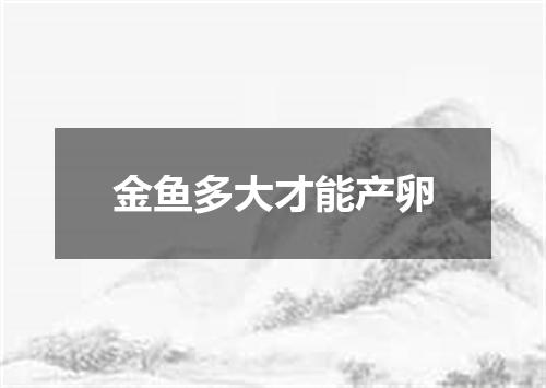 金鱼多大才能产卵