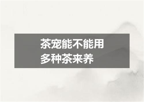 茶宠能不能用多种茶来养