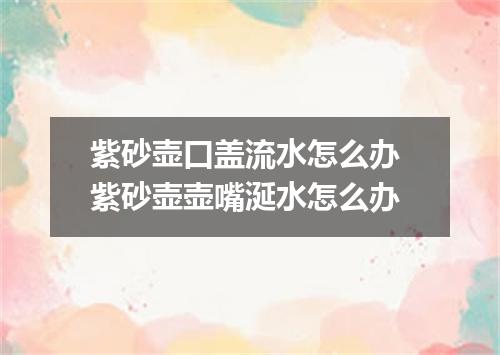 紫砂壶口盖流水怎么办 紫砂壶壶嘴涎水怎么办