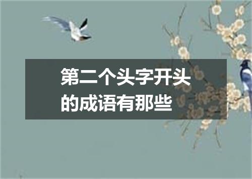 第二个头字开头的成语有那些