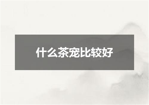 什么茶宠比较好