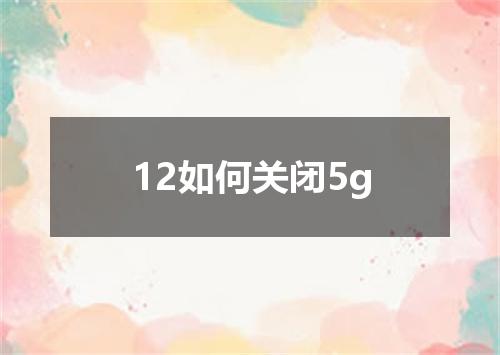 12如何关闭5g