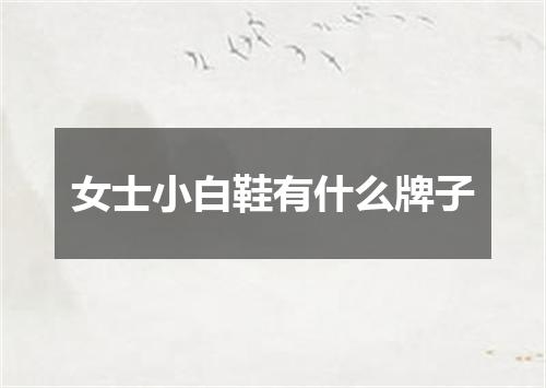 女士小白鞋有什么牌子