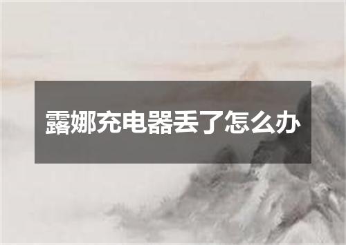 露娜充电器丢了怎么办