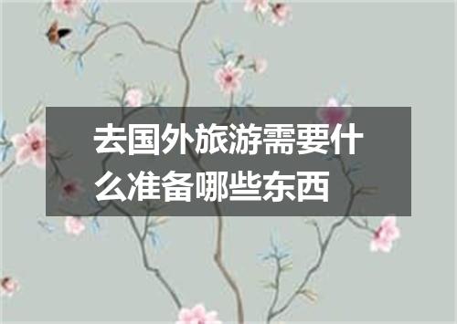 去国外旅游需要什么准备哪些东西