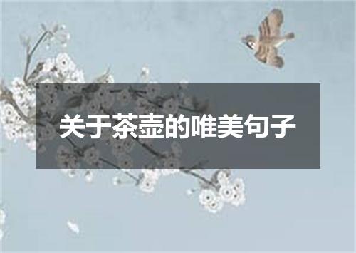 关于茶壶的唯美句子