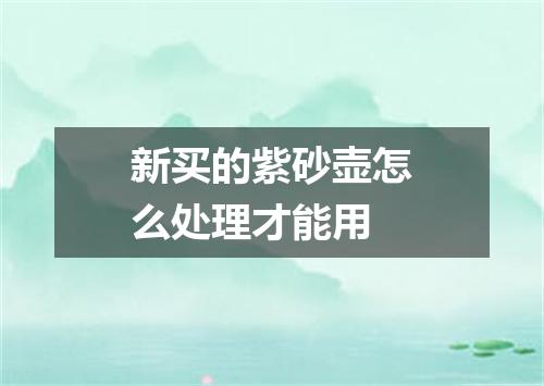 新买的紫砂壶怎么处理才能用