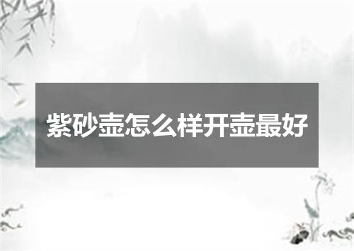 紫砂壶怎么样开壶最好