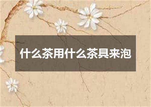 什么茶用什么茶具来泡