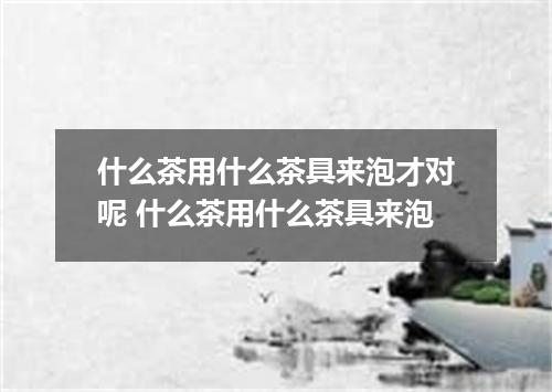 什么茶用什么茶具来泡才对呢 什么茶用什么茶具来泡