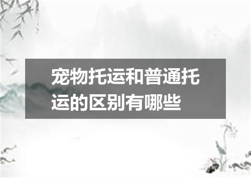 宠物托运和普通托运的区别有哪些