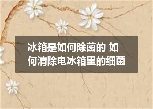 冰箱是如何除菌的 如何清除电冰箱里的细菌