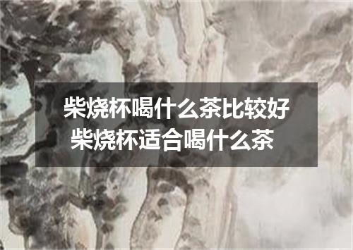 柴烧杯喝什么茶比较好 柴烧杯适合喝什么茶