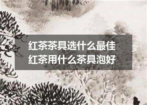 红茶茶具选什么最佳 红茶用什么茶具泡好