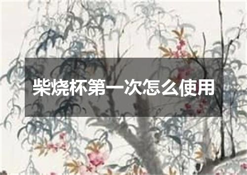 柴烧杯第一次怎么使用