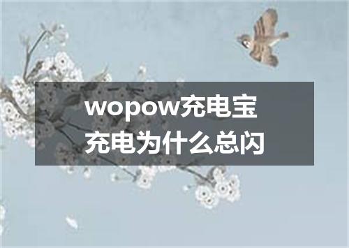 wopow充电宝充电为什么总闪