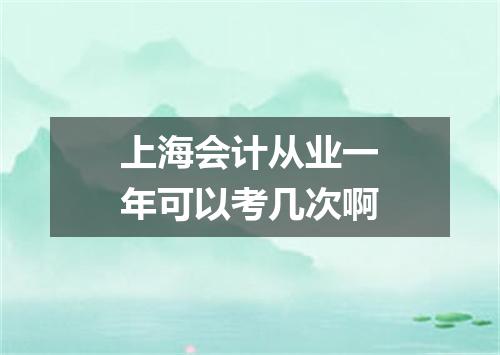 上海会计从业一年可以考几次啊