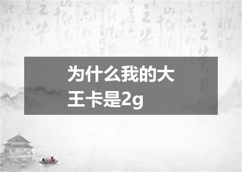 为什么我的大王卡是2g
