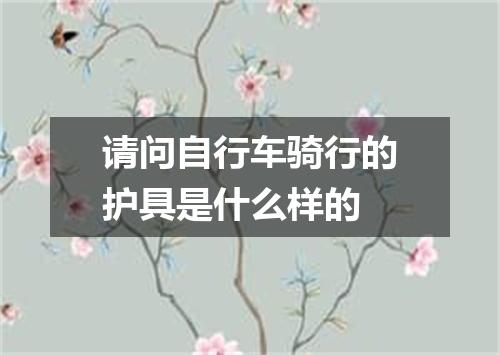 请问自行车骑行的护具是什么样的