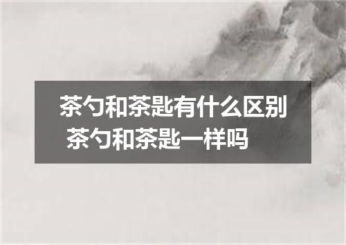 茶勺和茶匙有什么区别 茶勺和茶匙一样吗