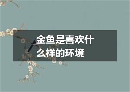 金鱼是喜欢什么样的环境