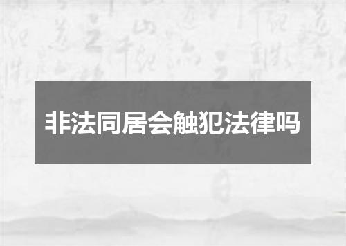 非法同居会触犯法律吗