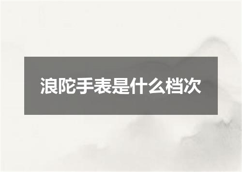 浪陀手表是什么档次