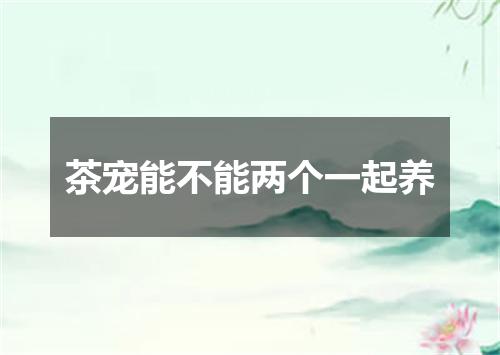 茶宠能不能两个一起养